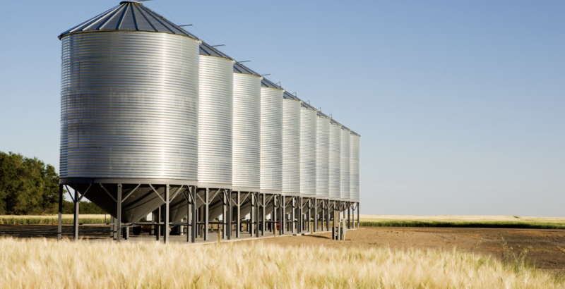 Grain Guardians: Controlling Common Pests in the World of Grain Processing